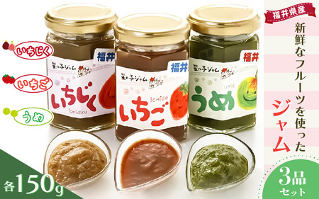 【先行予約】【福井県産】フルーツを使った ジャム 3種セット（梅ジャム 苺ジャム いちじくジャム）【2026年6月下旬以降順次発送予定】[m03-a019]