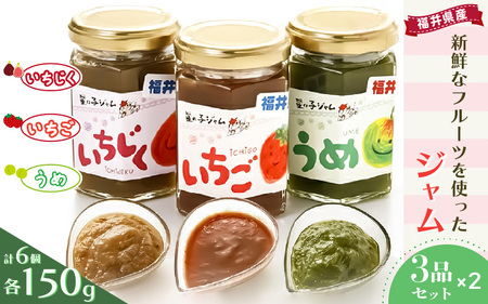 【先行予約】【福井県産】フルーツを使った ジャム 3種 計6個セット（梅ジャム2個 苺ジャム2個 いちじくジャム2個）【2026年6月下旬以降順次発送予定】[m03-a020]