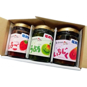 【先行予約】【福井県産】フルーツを使った ジャム 3種 計9個セット（梅ジャム3個 苺ジャム3個 いちじくジャム3個）【2026年6月下旬以降順次発送予定】[m03-a021]