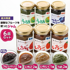 【先行予約】【福井県産】フルーツを使った ジャム 4種 合計6個 （ブルーベリージャム1個 いちじくジャム1個 イチゴジャム2個 梅ジャム2個 ）【2026年6月下旬以降順次発送予定】[m03-a044]