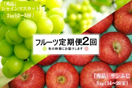 【2026年発送】【定期便2回】山形旬の果物2選（シャインマスカット/りんご）_H183(R8)
