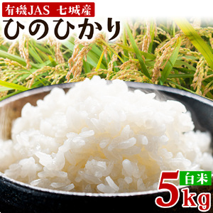令和7年産 有機JAS 七城産ひのひかり 精米 5kg 渡辺農産熊本県 菊池市 米 お米 精米 ひのひかり 菊池市産 熊本県産 九州産 送料無料《30日以内に出荷予定(土日祝除く)》