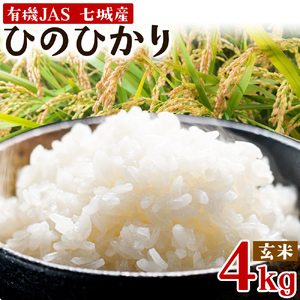 令和7年産 有機JAS 七城産ひのひかり 玄米 4kg 渡辺農産熊本県 菊池市 米 お米 精米 ひのひかり 菊池市産 熊本県産 九州産 送料無料《30日以内に出荷予定(土日祝除く)》