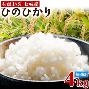 令和7年産 有機JAS 七城産ひのひかり 無洗米 4kg 渡辺農産熊本県 菊池市 米 お米 精米 ひのひかり 《30日以内に出荷予定(土日祝除く)》菊池市産 熊本県産 九州産 送料無料