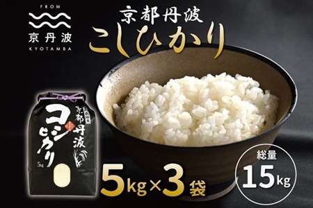 【京丹波の米】 京丹波こしひかり 15kg 令和7年産   [026MB001]