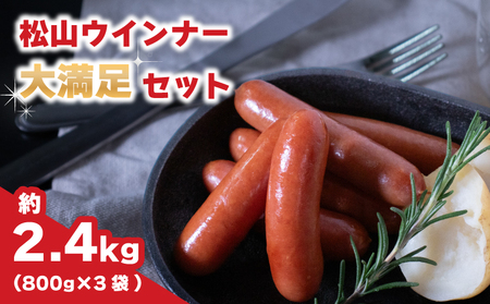 ウインナー 約 2.4kg ( 800g × 3パック ) 【BJ009】ウインナー ウインナー ウインナー ウインナー ウインナー