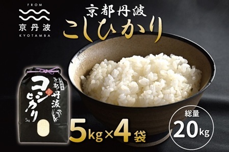【京丹波の米】 京丹波こしひかり 20kg 令和7年産   [033MB001]