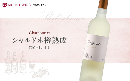 シャルドネ樽熟成 白ワイン 720ml ワイン わいん 国産ワイン 日本ワイン ギフト プレゼント 山梨 甲斐市 F-38