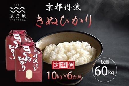 【6回定期便】 京丹波きぬひかり 10kg×6カ月連続 合計60kg 令和7年産 [108MB002R]