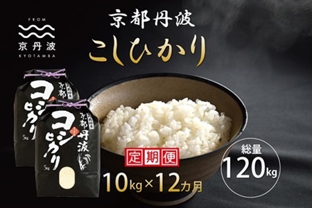 【12回定期便】 京丹波こしひかり 10kg×12カ月連続 合計120kg 令和7年産 [216MB001R]