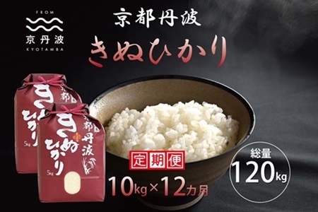 【12回定期便】 京丹波きぬひかり 10kg×12カ月連続 合計120kg 令和7年産 [216MB002R]