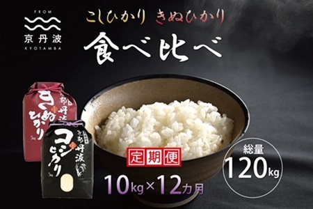 【12回定期便】 京丹波こしひかり きぬひかり 食べ比べセット 10kg×12カ月連続 合計120kg 令和7年産 [216MB003R]