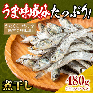 煮干し 480g(120g×4)【小分け セット いわし 鰯 カタクチイワシ 人気 出汁 おやつ おつまみ 香川県 さぬき市】