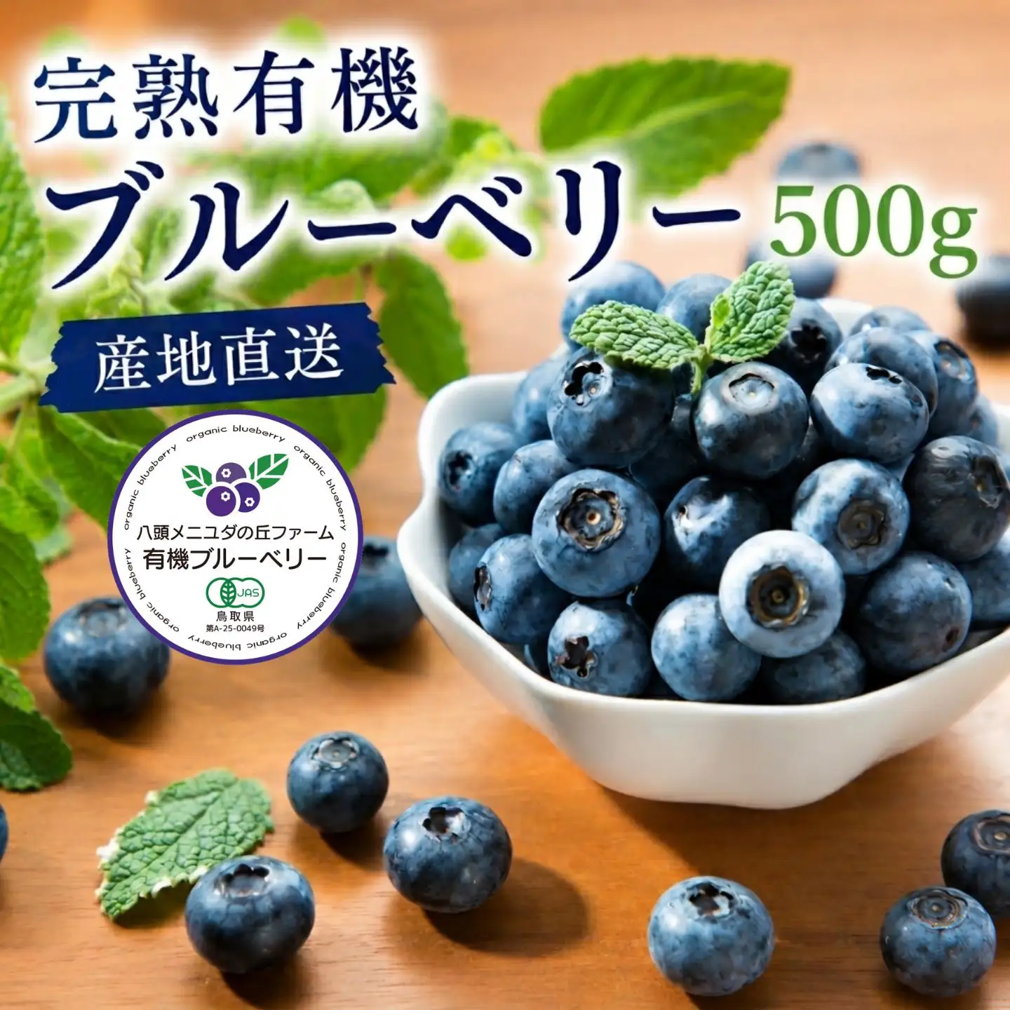 Y111 完熟有機ブルーベリー500g【有機JAS認定】