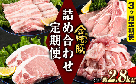 【3回定期便】阿波の金時豚4種詰合せ2.8kg 