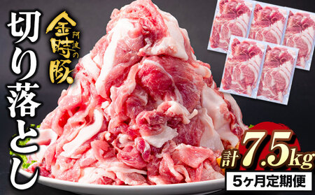 【5回定期】阿波の金時豚 切り落とし 7.5kg 豚肉