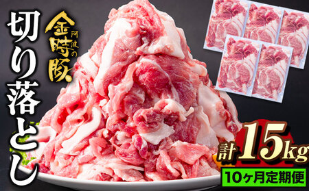 【10回定期】 阿波の金時豚切り落とし 15kg 豚肉
