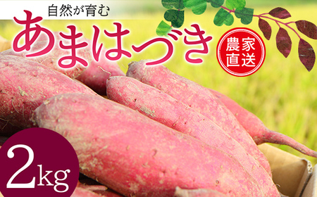 ＜2026年秋収穫分 先行予約＞ 自然が育む『あまはづき』2kg さつまいも サツマイモ 芋 F3S-2617