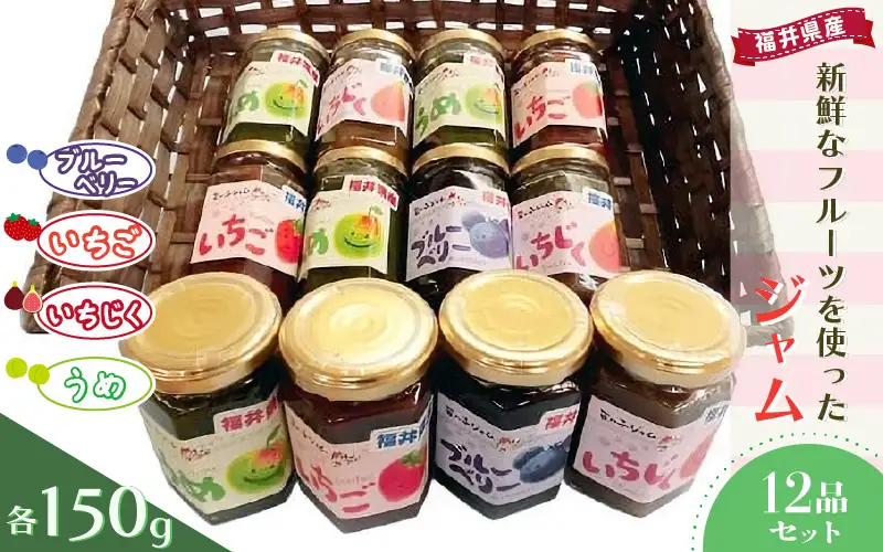 【先行予約】【福井県産】フルーツを使った ジャム 4種 計12個セット（ブルーベリージャム2個 いちじくジャム3個 梅ジャム4個 苺ジャム3個）【2026年6月下旬以降順次発送予定】[m03-c007]