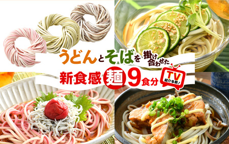 福井県 美浜町産 「DUOヌードル」 9個セット【母の日 父の日 プレゼント お祝い 引き出物 お返し ギフト ハレの日 子供の日 お礼 敬老の日 引越し 七夕 年越し お中元 お歳暮】[m04-a007]