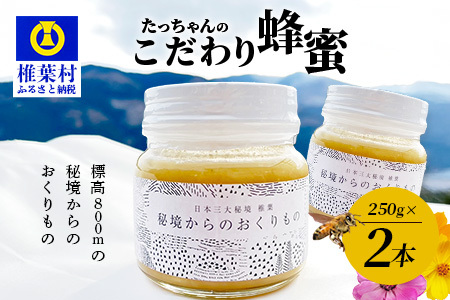 たっちゃんのこだわり蜂蜜 250g×2本 秘境 蜂蜜 はちみつ ハチミツ