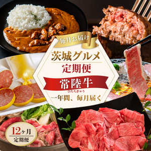 12ヶ月 定期便 肉 高級肉 常陸牛 Aコース  肉のイイジマ（DU-111）