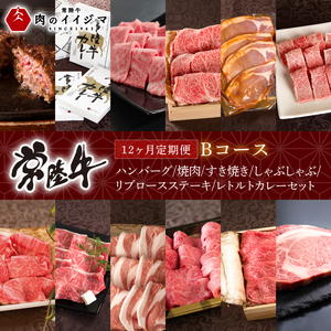 12ヶ月 定期便 肉 常陸牛 Bコース  肉のイイジマ（DU-112）