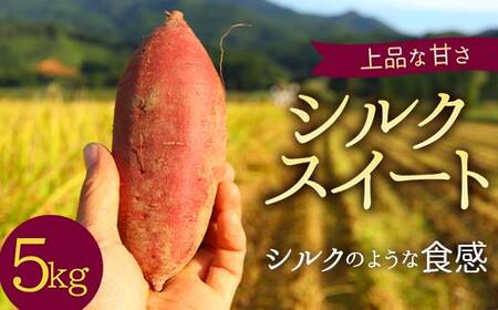 ＜2026年秋収穫分 先行予約＞ 上品な甘さの【シルクスイート】5kg （栽培期間中、農薬、化学肥料不使用） さつまいも サツマイモ 芋 F3S-2619
