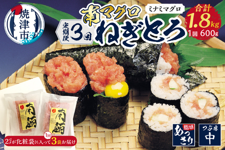 a50-139　【定期便】南マグロねぎとろ600g＜6人前＞×3回【定期便】