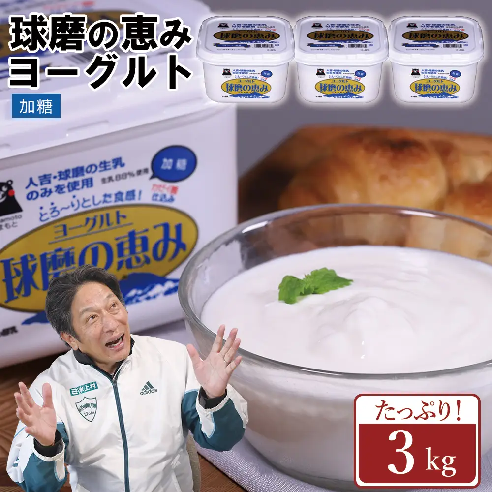 球磨の恵み ヨーグルト 加糖 3kg まとめ買い 大容量 熊本県 水上村