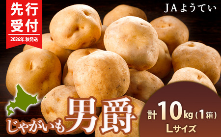 【2026年秋発送 先行予約】じゃがいも 馬鈴薯（男爵）Ｌサイズ　10kｇ＜JAようてい＞