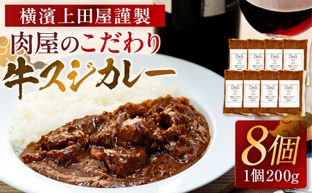 横濱上田屋謹製　肉屋のこだわり牛スジカレー8個（調理済み） AEJ0026