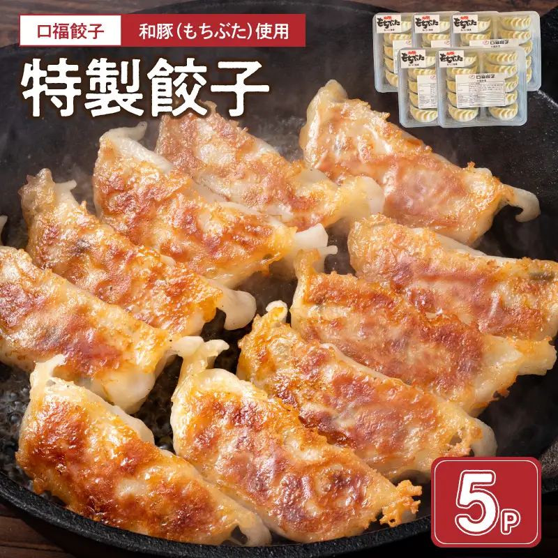 口福餃子「和（もち）豚」使用 特製餃子（冷凍生） _U119-0001