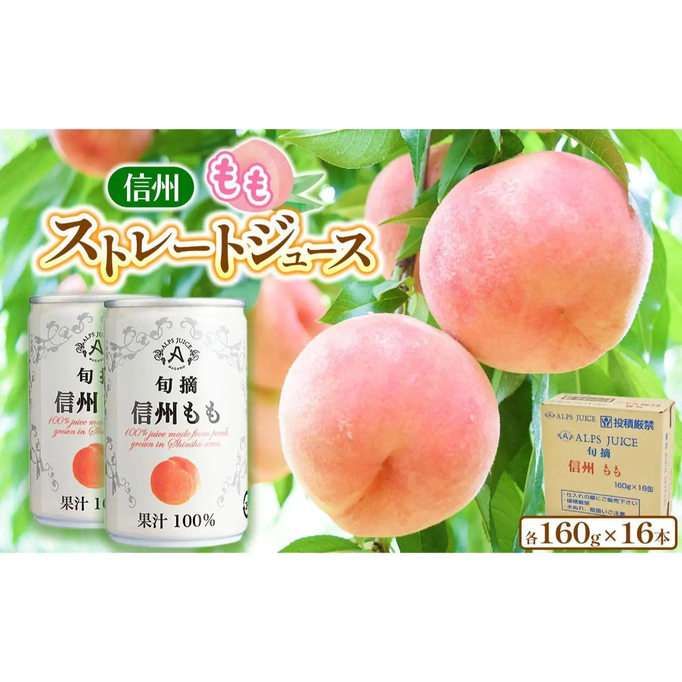 アルプス 信州産 ももストレート缶ジュース 160g×16本 | 桃  白桃 もも 桃ジュース ジュース ピーチジュース セット アルプス ストレート ストレートジュース 160g 果汁飲料 長野県産 信州 塩尻市 長野県