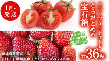 とちおとめ と フルーツミニトマト宝石箱 36粒【1月より発送開始】（茨城県共通返礼品 [いちご]：城里町産　[トマト]：つくばみらい市産）