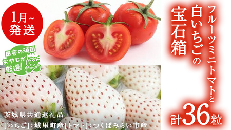 白いちご と フルーツミニトマトの宝石箱 36粒【1月から発送開始】（茨城県共通返礼品 [いちご]：城里町産　[トマト]：つくばみらい市産） 