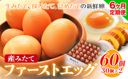 卵 たまご 6ヶ月 定期便 赤玉 ファーストエッグ 60個《お申込み月翌月から出荷予定(土日祝除く)》株式会社めぐみ 岡山県 浅口市 送料無料 30個 × 2セット 食卓 産みたて 初卵 希少