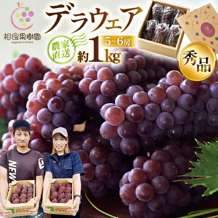 【期間限定発送】 デラウェア 秀品 5～6房 約1kg [相良果樹園 山形県 高畠町 tk06ayt350000]