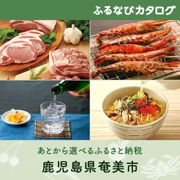 【有効期限なし！後からゆっくり特産品を選べる】鹿児島県奄美市カタログポイント