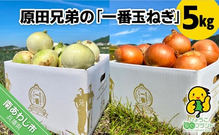 原田兄弟の一番玉ねぎ ５kg
