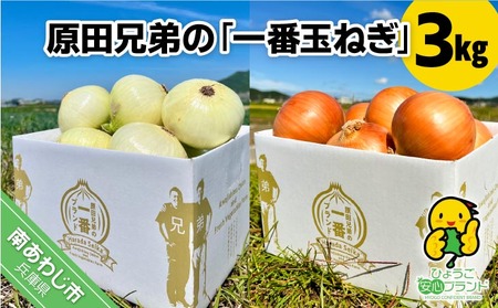 原田兄弟の一番玉ねぎ３kg
