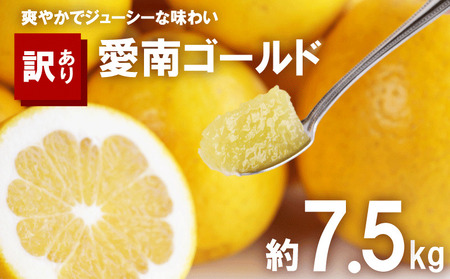 【訳あり】 愛南ゴールド 約7.5kg 柑橘 フルーツ みかん 河内晩柑 
