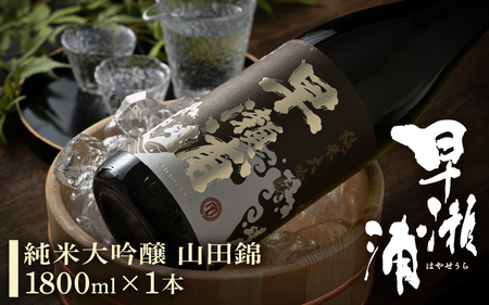 入手困難 早瀬浦 純米大吟醸 山田錦 1800ml × 1本 【入手困難 日本酒 就職祝い 転職祝い ハレの日 ギフト プレゼント お祝い お返し お礼 お中元 お歳暮 父の日 敬老の日】[m06-e001]