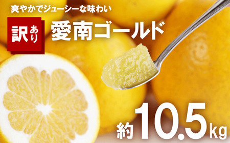【訳あり】 愛南ゴールド 約10.5kg 柑橘 フルーツ みかん 河内晩柑  