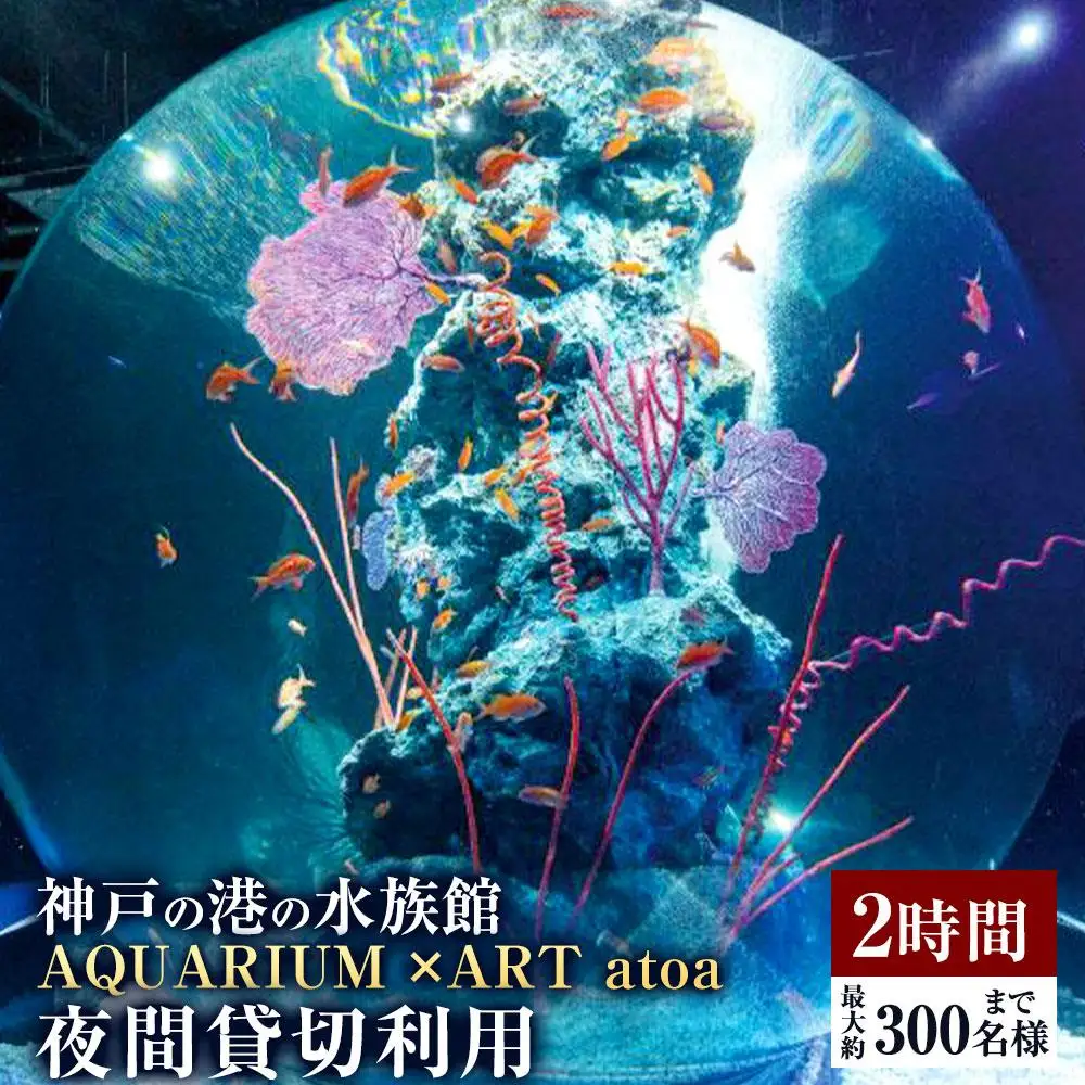 神戸の港の水族館　AQUARIUM ×ART atoa　夜間貸切利用＜2時間＞