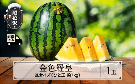 尾花沢産スイカ すいか 金色羅皇 2Lサイズ 約7kg×1玉 令和8年産 kb-sukr21