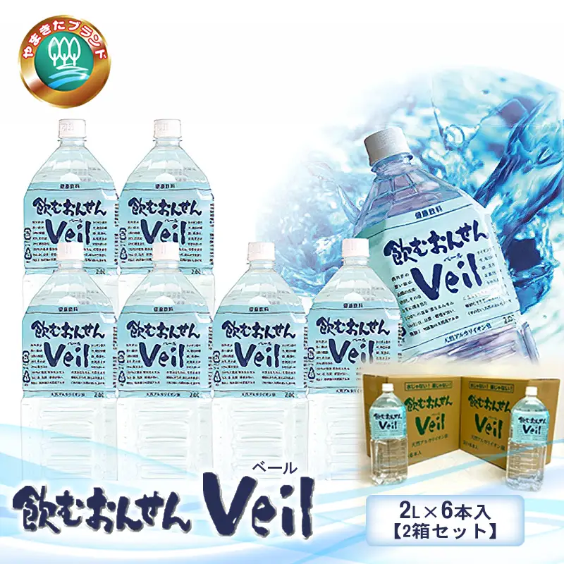 水 10年保存水 飲むおんせんベール2L×6本入【2箱セット】【 温泉水 温泉純度100％ 保存水 長期保存 備蓄 水 ミネラルウォーター 災害 災害用 備蓄用 10年 防災 水 保存水 備蓄水 防災用品 神奈川県 山北町 】
