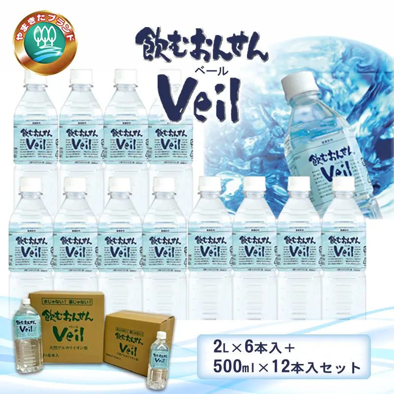 水 10年保存水 飲むおんせんベール2L×6本入+500ml×12本入セット【 温泉水 温泉純度100％ 保存水 長期保存 備蓄 水 ミネラルウォーター 災害 災害用 備蓄用 10年 防災 水 保存水 備蓄水 防災用品 神奈川県 山北町 】