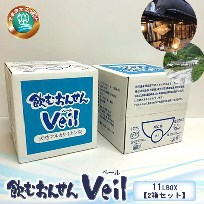 水 10年保存水 飲むおんせんベール11LBOX【2箱セット】【 温泉水 温泉純度100％ 保存水 長期保存 備蓄 水 ミネラルウォーター 災害 災害用 備蓄用 10年 防災 水 保存水 備蓄水 防災用品 神奈川県 山北町 】