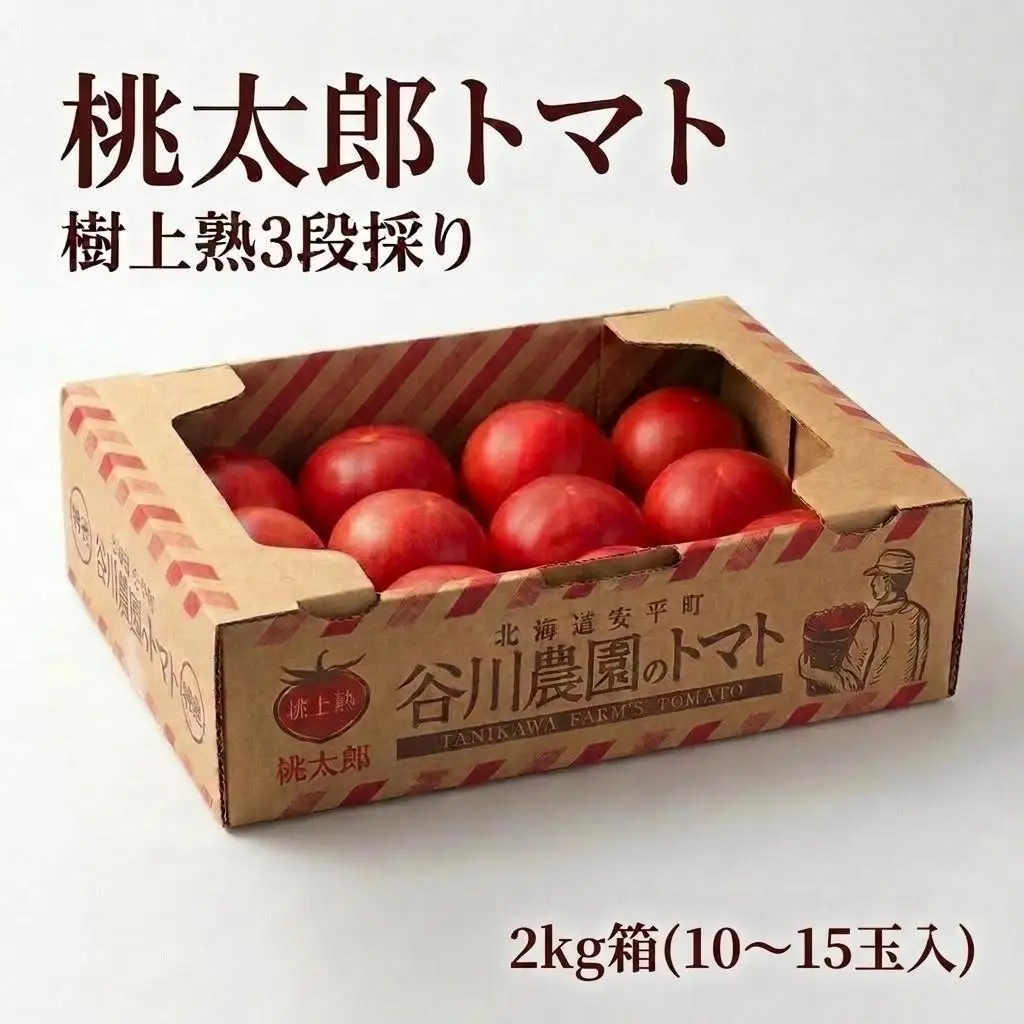 トマト  ＜先行予約＞ 2kg箱(10～15玉入) 樹上熟3段採り 桃太郎トマト 北海道 安平町 【1472504】